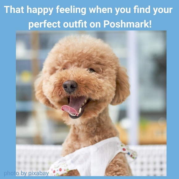 Thanks for checking out my closet! - Picture 1 of 1